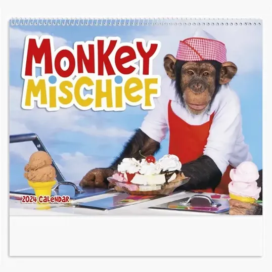 Spiral Monkey Marketing